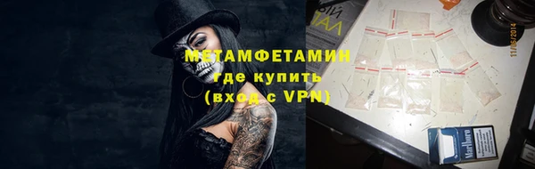 сатива Костерёво