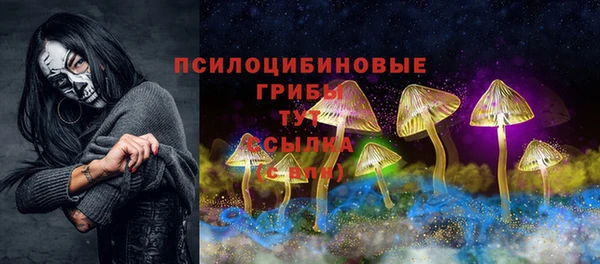 дурь Коряжма